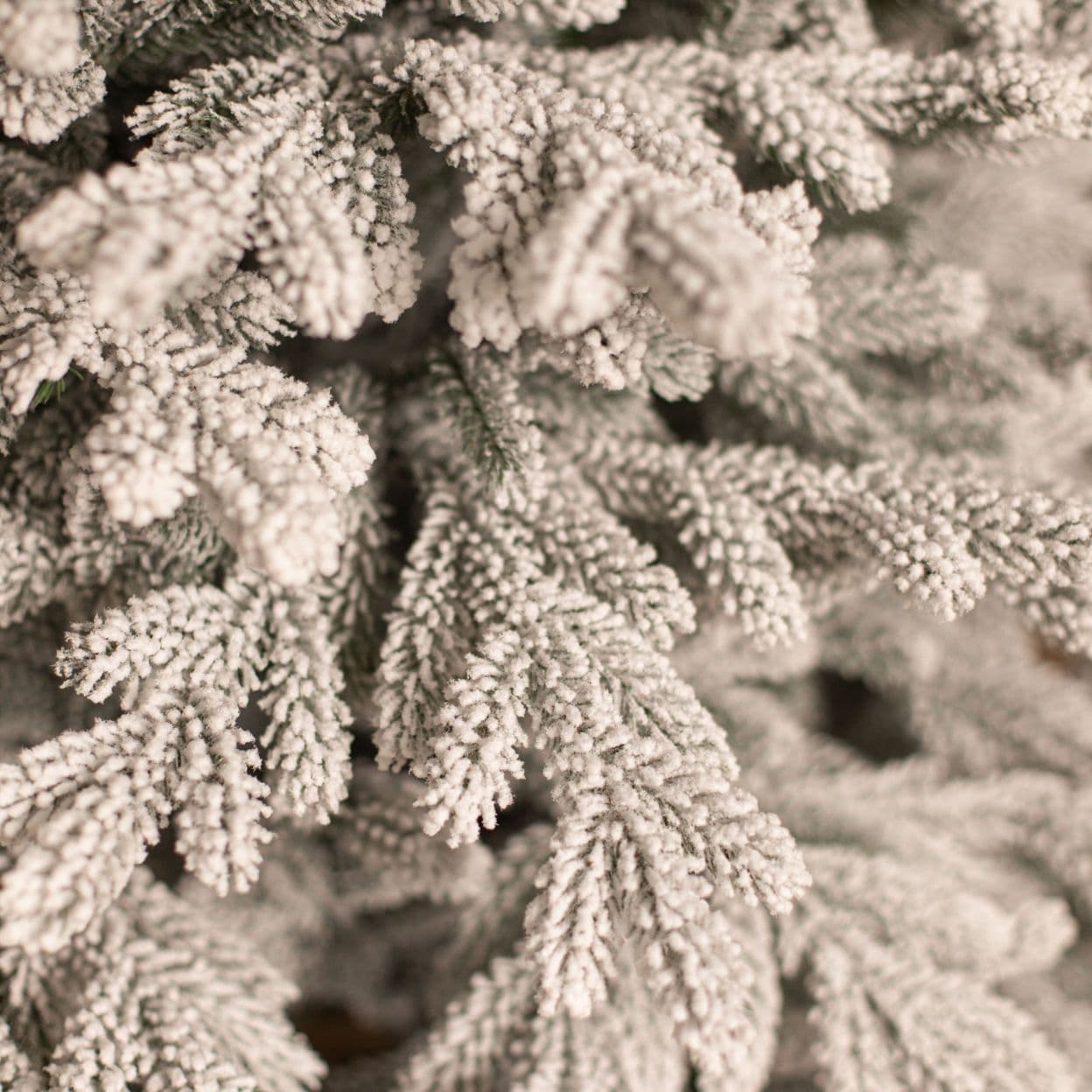 Купить Уральская заснеженная