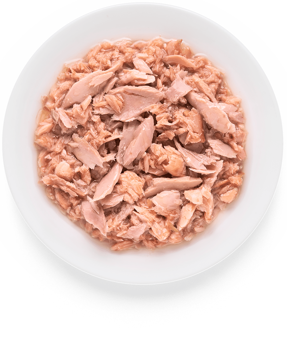 Купить GRANDORF влажный корм для кошек филе тунца с мясом лосося 70 гр