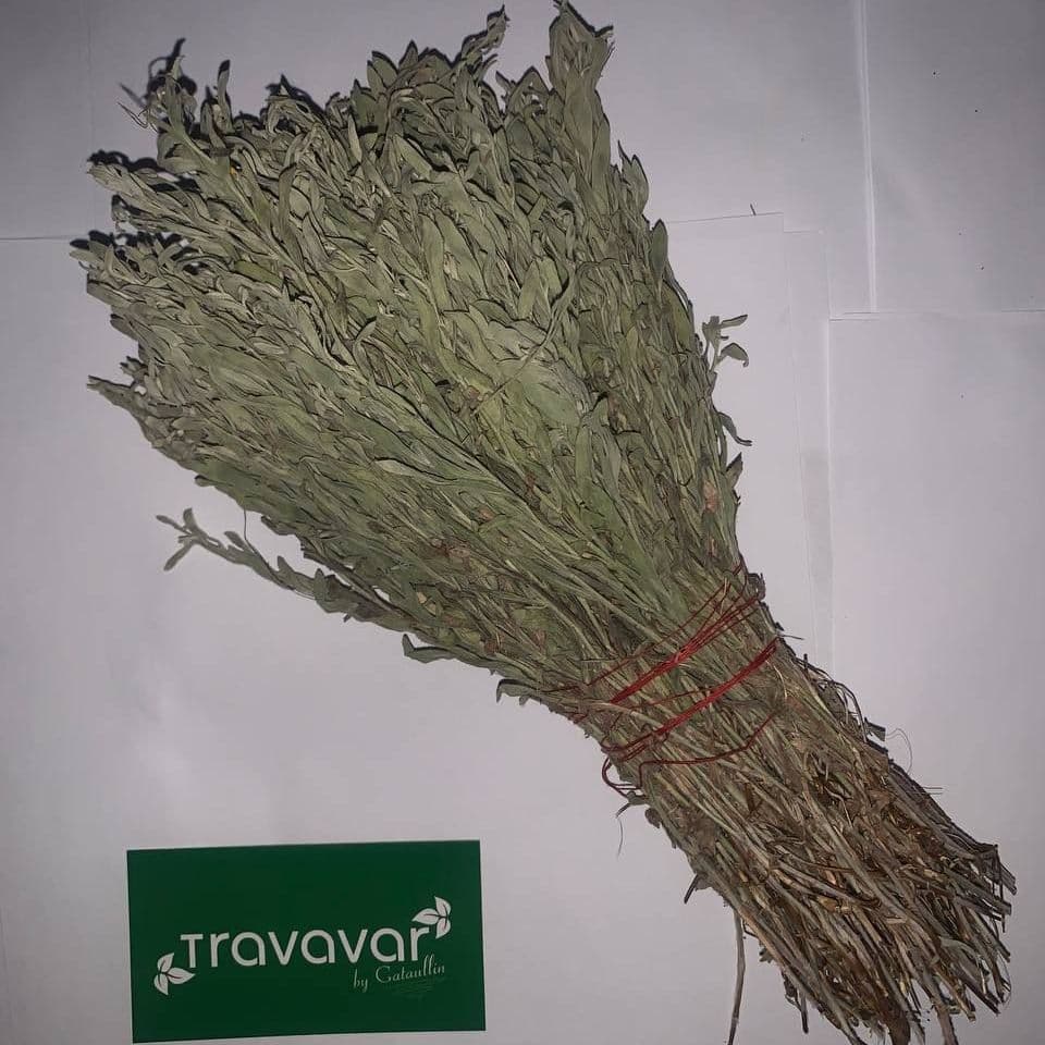 Купить Шалфей