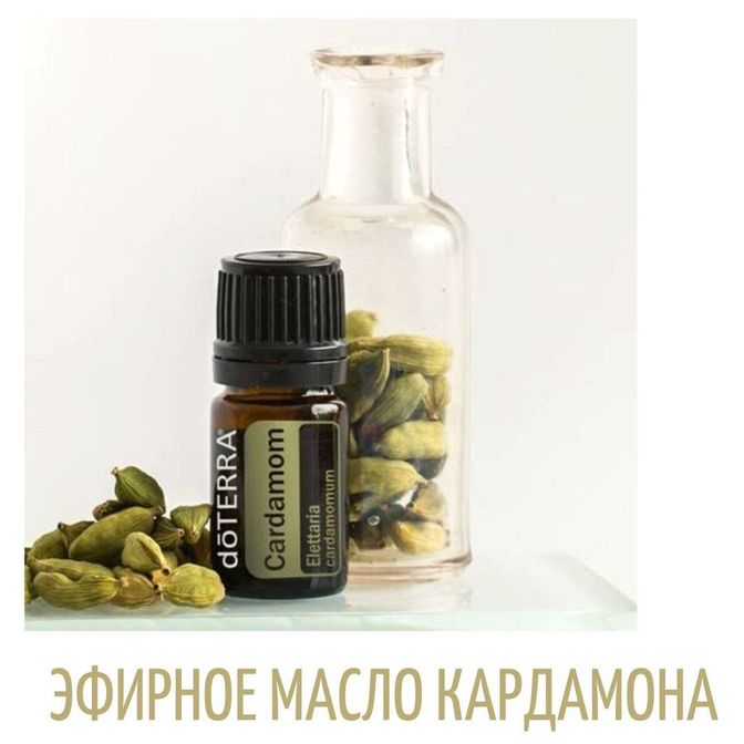 Купить Кардамон
