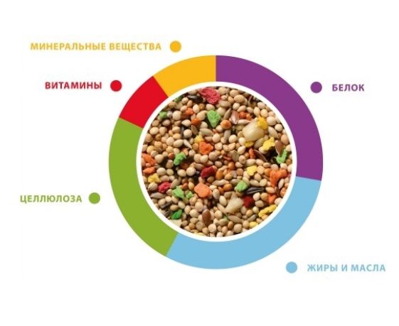 Купить Padovan Корм GRANDMIX Esotici