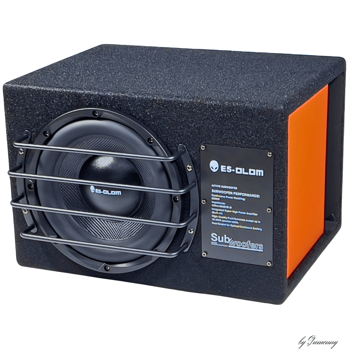Купить сабвуфер 10 дюймов E5-OLOM P-10