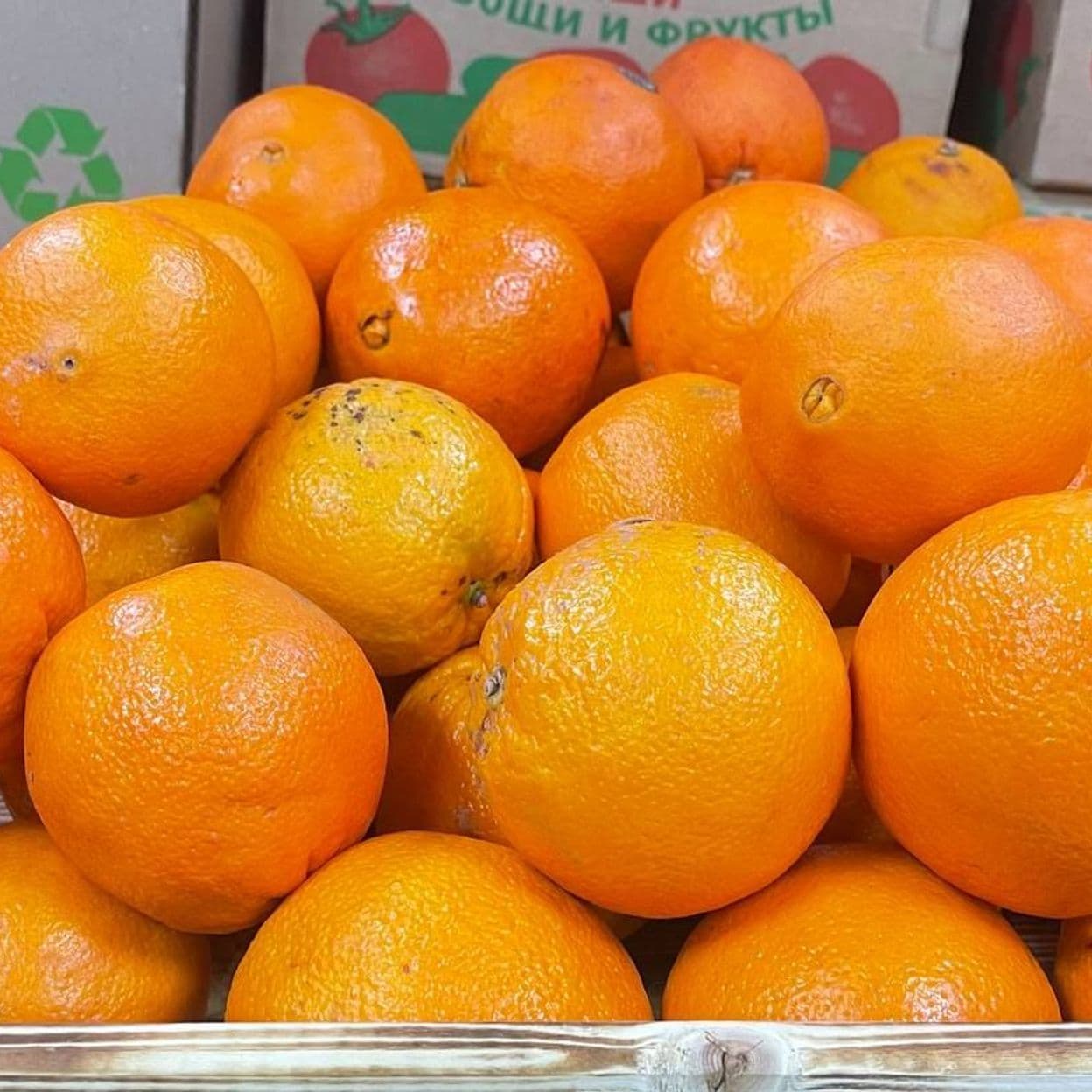 Купить Апельсин