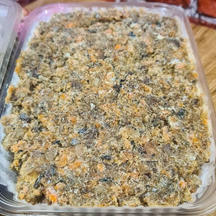 Купить Рыба