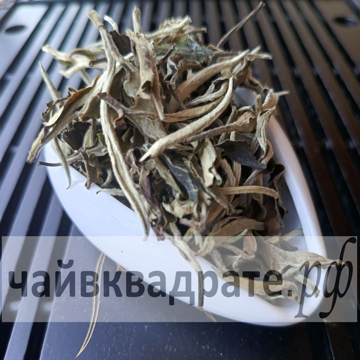 Купить ЮЭ ГУАНБАЙ