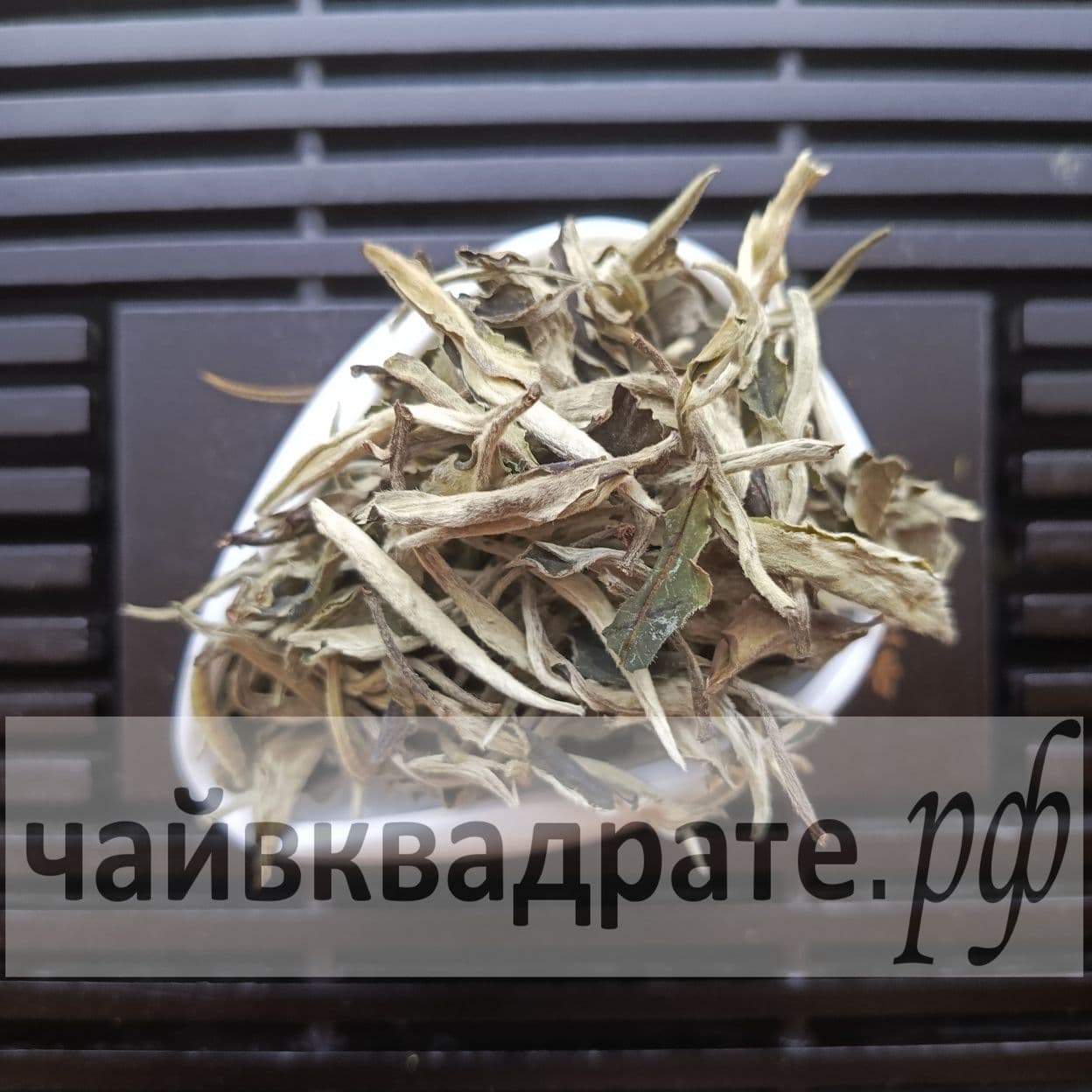 Купить ЮЭ ГУАНБАЙ