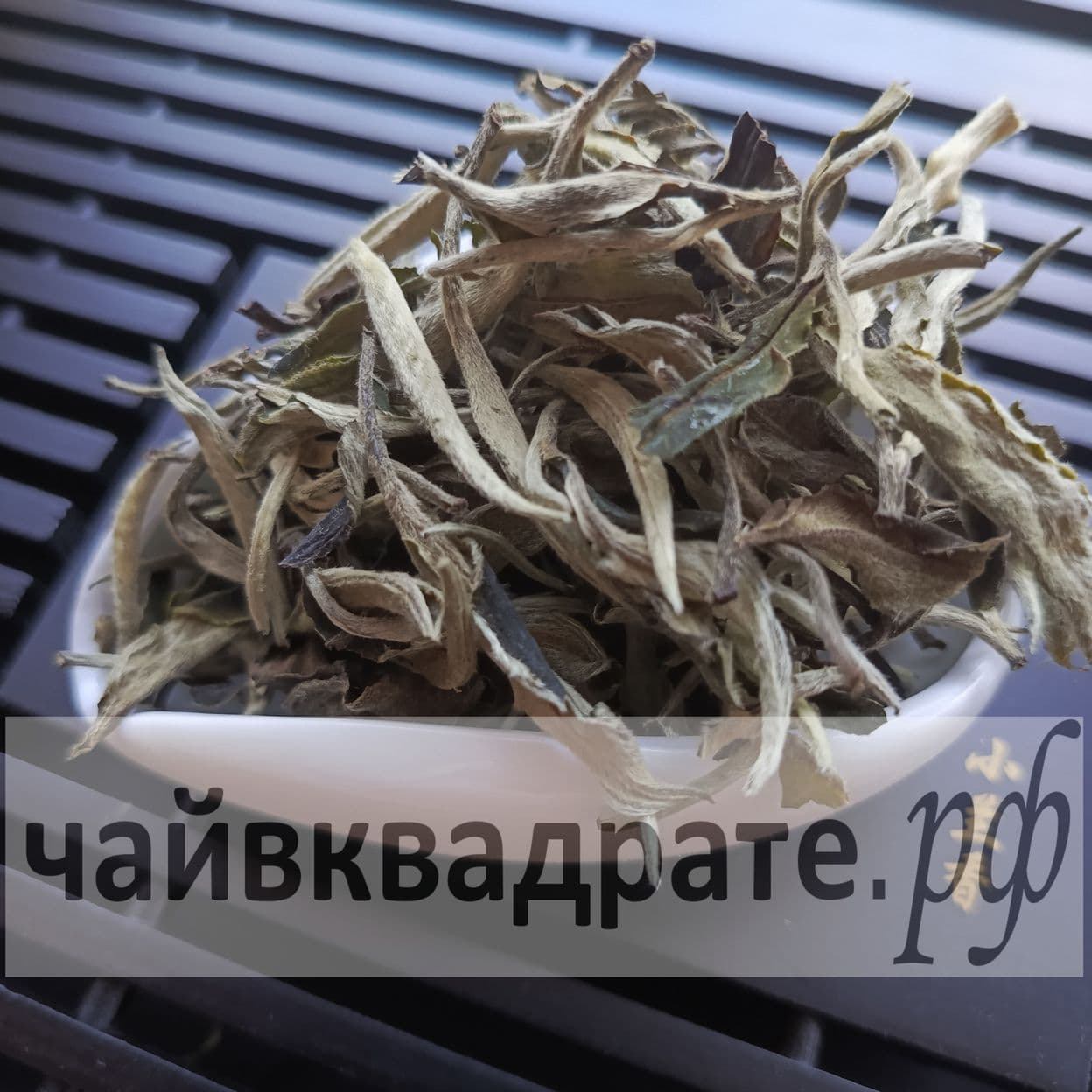 Купить ЮЭ ГУАНБАЙ