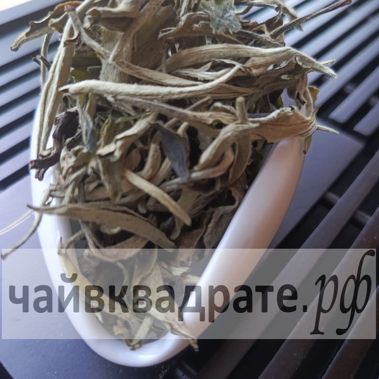 Купить ЮЭ ГУАНБАЙ