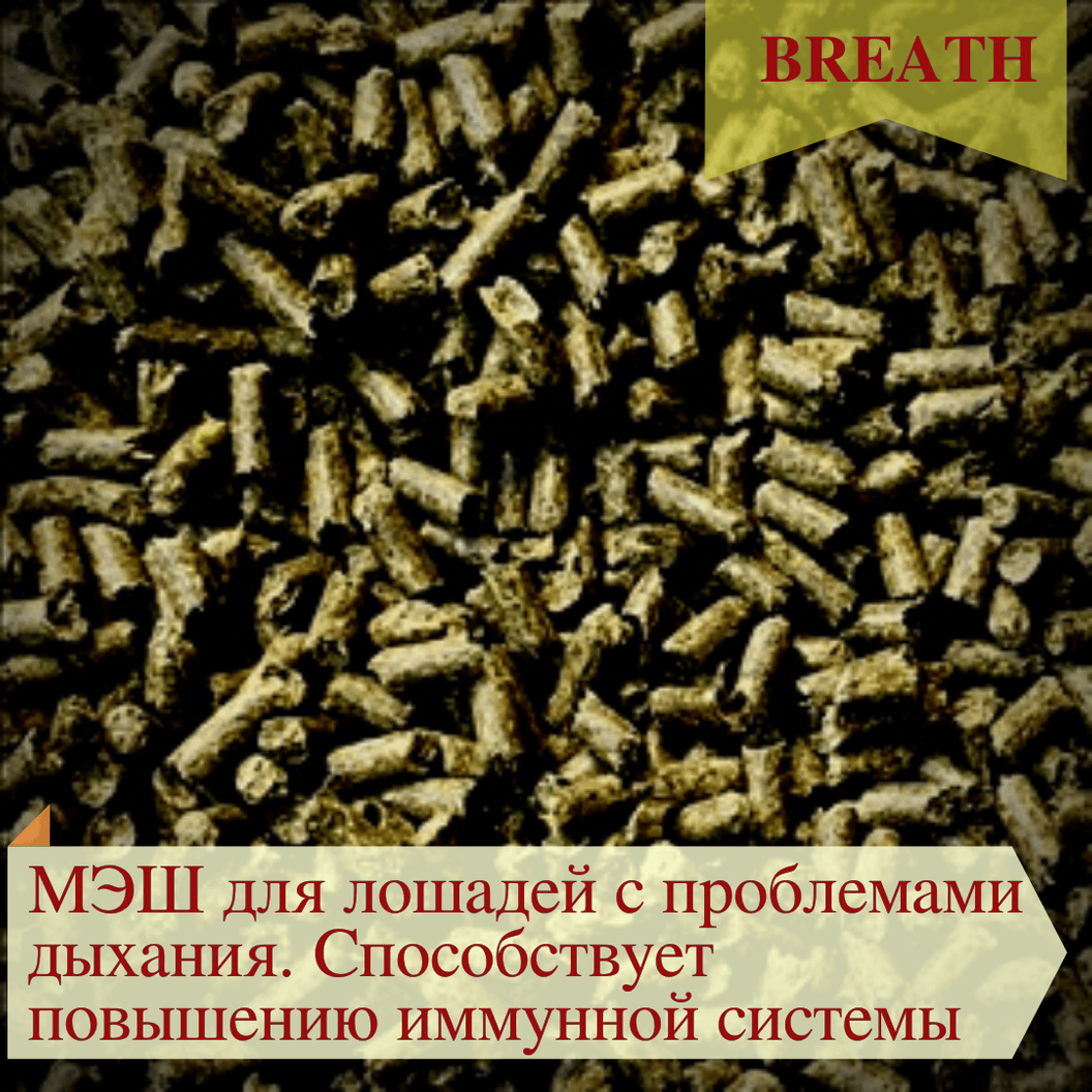 Купить Смесь кормовая для лошадей с проблемами дыхания GOLD LINE "BREATH", (МЭШ)