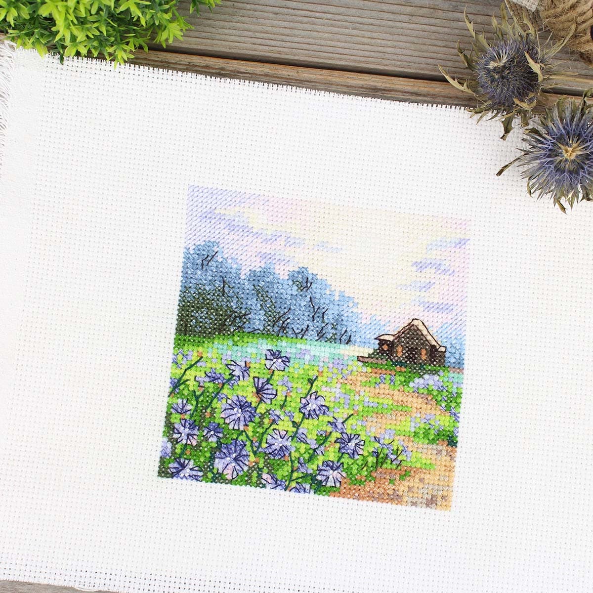 Купить М-1234 Набор для вышивания 'Пейзаж с цикорием' 11*11см, МП Студия