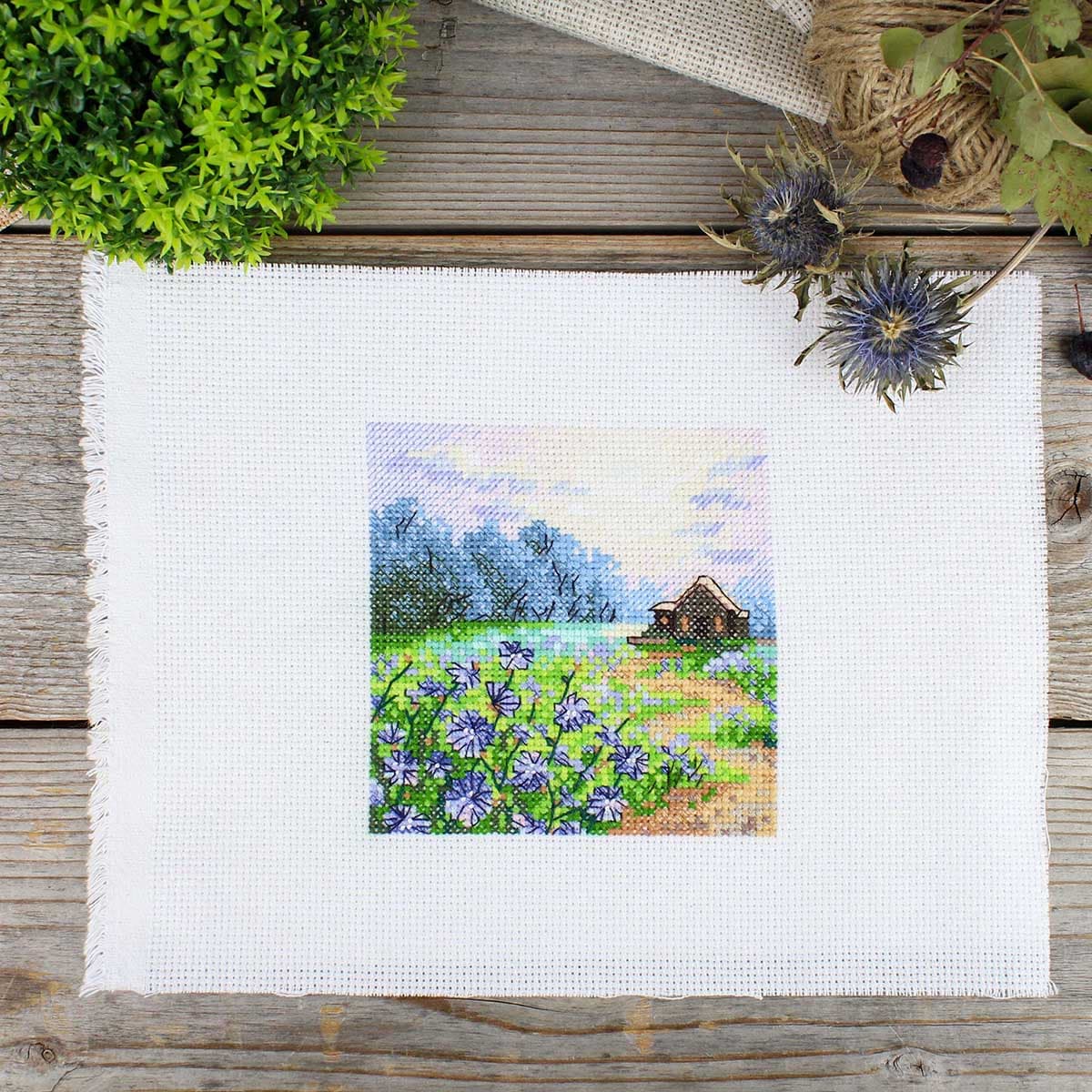 Купить М-1234 Набор для вышивания 'Пейзаж с цикорием' 11*11см, МП Студия