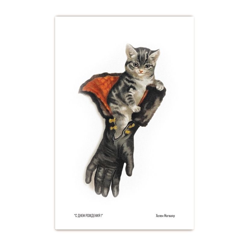Купить Коллекционная открытка из серии "Коты и кошки"