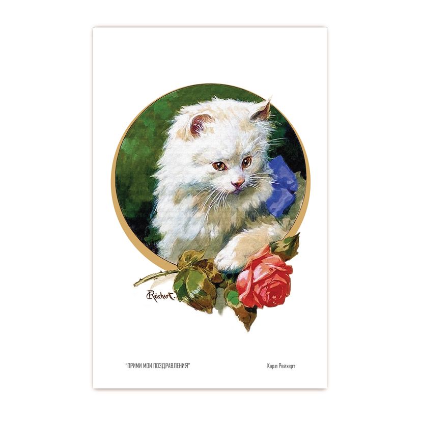 Купить Коллекционная открытка из серии "Коты и кошки"