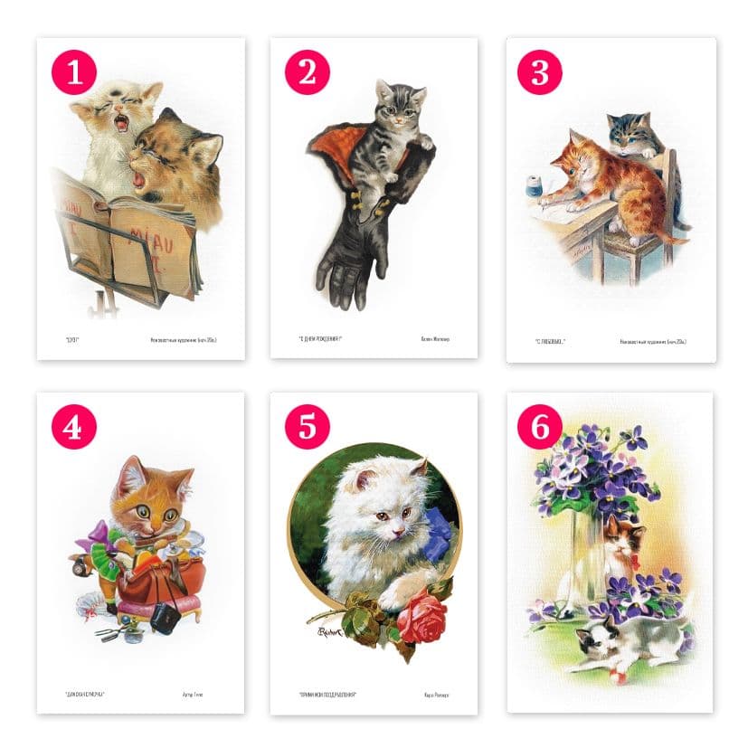 Купить Коллекционная открытка из серии "Коты и кошки"