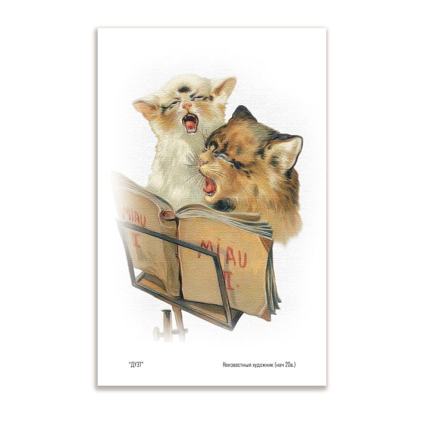 Купить Коллекционная открытка из серии "Коты и кошки"