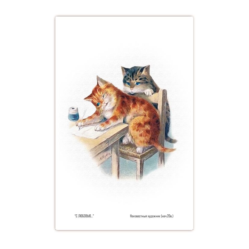 Купить Коллекционная открытка из серии "Коты и кошки"