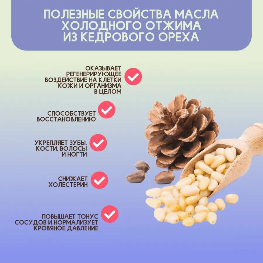 Купить ЗДРАВА Масло Кедрового Ореха 250 мл. Холодный отжим