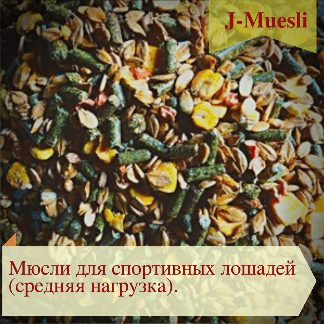 Купить Смесь кормовая GOLD LINE "J-muesli" для спортивных лошадей (средняя нагрузка), мюсли