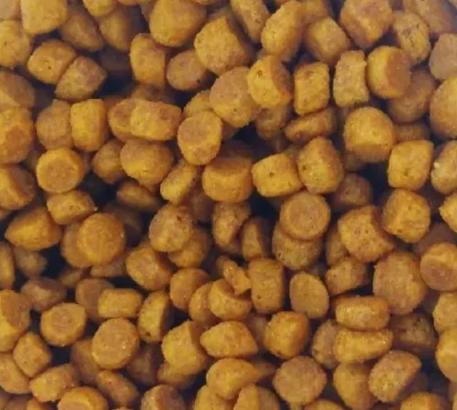 Купить Корм сухой PURINA PRO PLAN для котят с чувствительным пищеварением или с особыми предпочтениями в еде, с высоким содержанием индейки, 10 кг