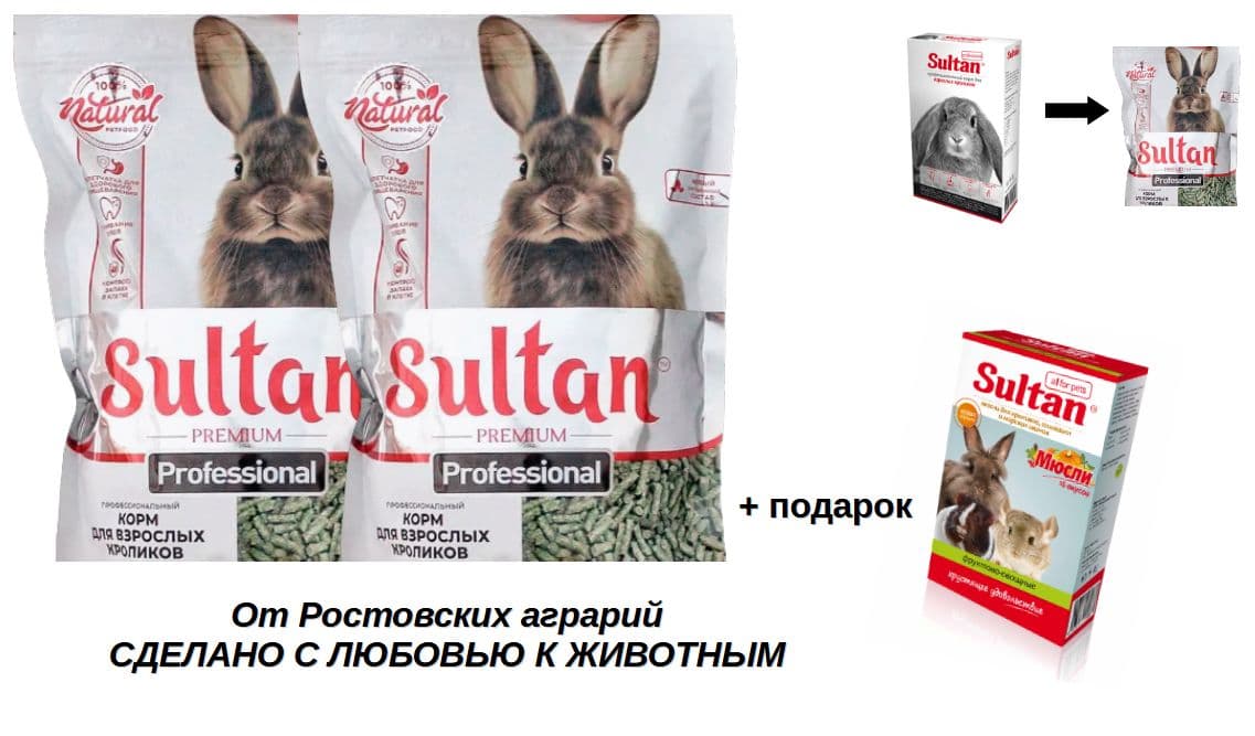 Купить Сухой профессиональный корм для
