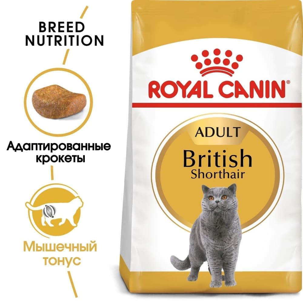 Купить Royal Canin British Shorthair Adult сухой корм для взрослых кошек породы британская короткошерстная 2кг