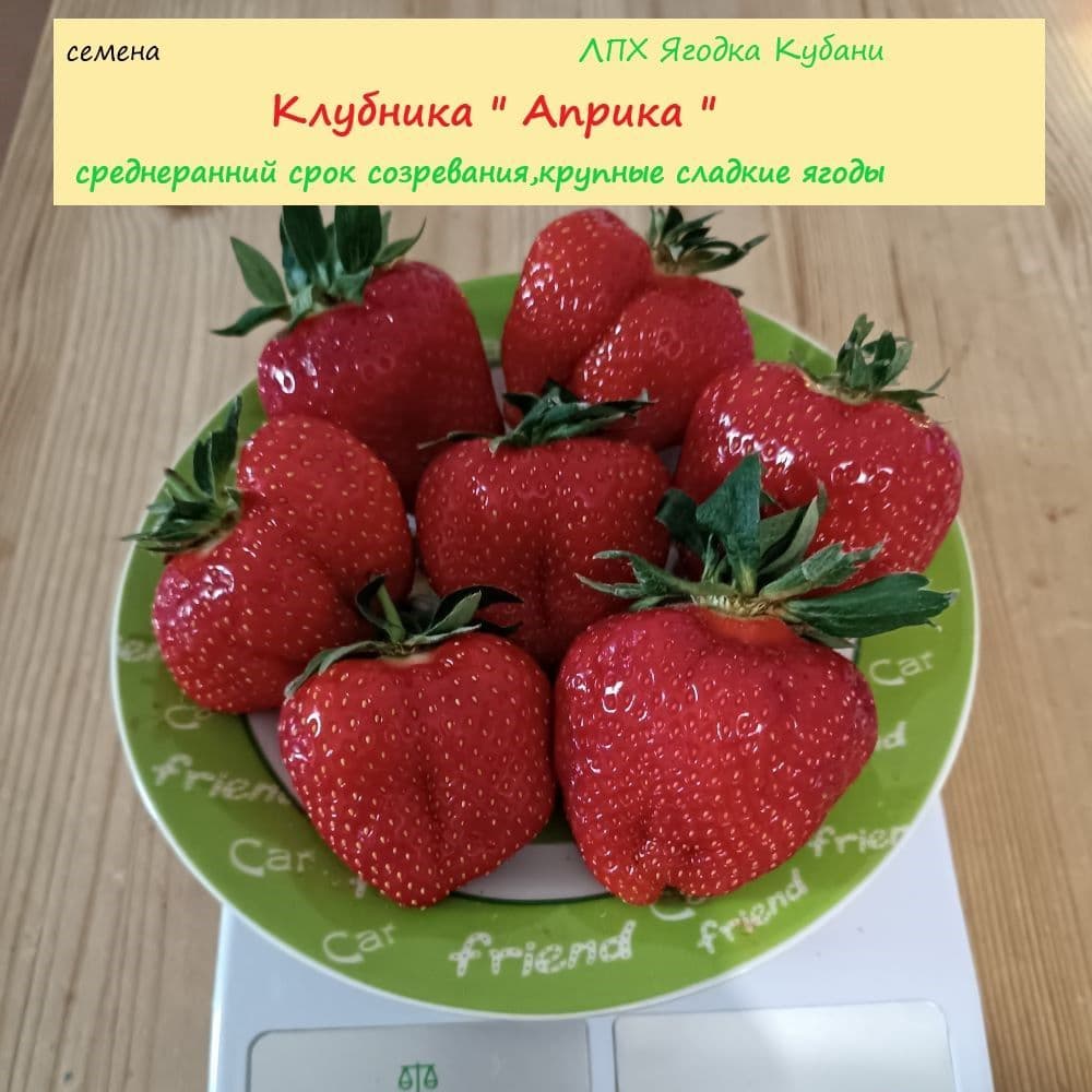 Купить Клубника "Априка" семена 30 шт.