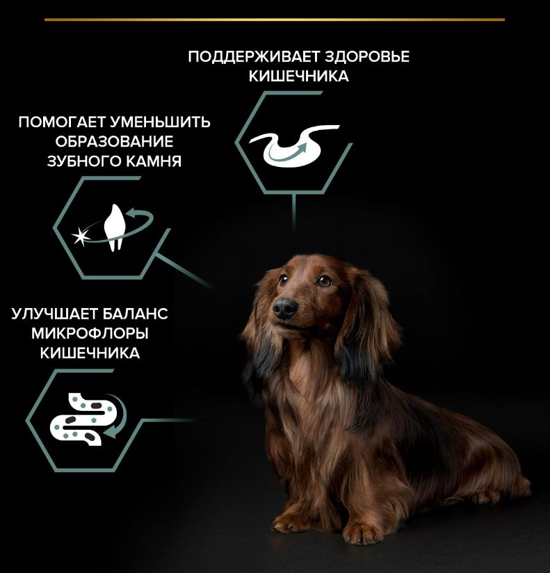 Купить Pro plan Про План для собак мелких и карликовых пород с