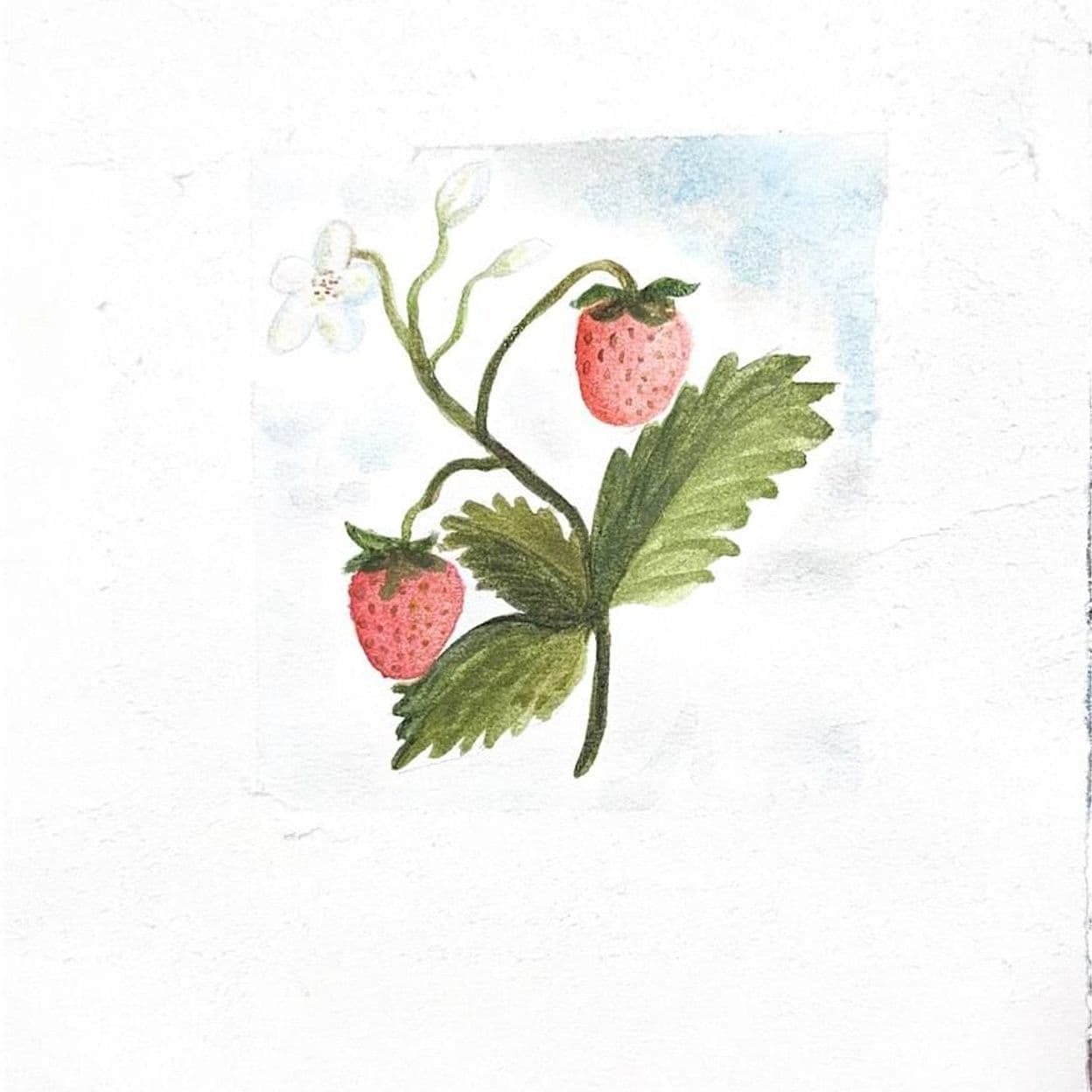 Купить Абонемент Кружок рисования