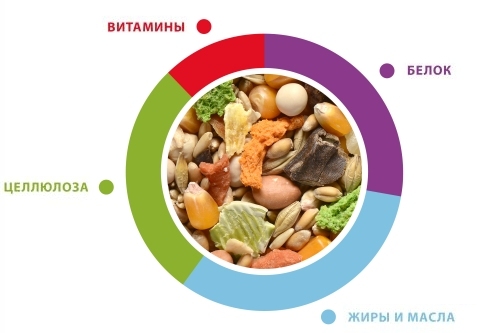 Купить GRANDMIX TOPOLINE E RATTI для мышей и крыс