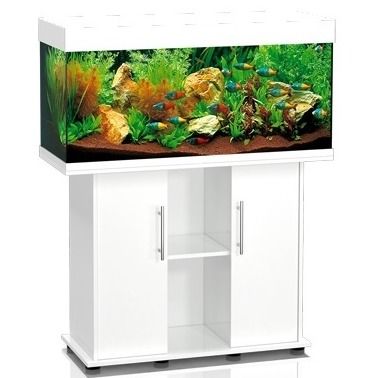 Купить Аквариум AqvaDom Коралл 312л белый