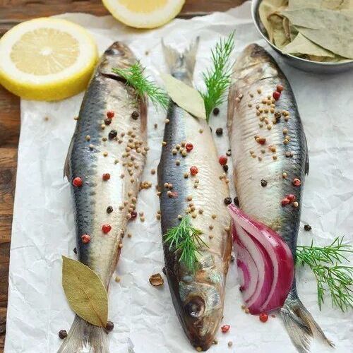 Купить Сардина ИВАСИ (Пряный посол, ведро 2,5кг)