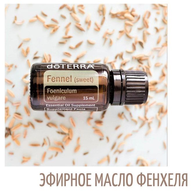 Купить Фенхель