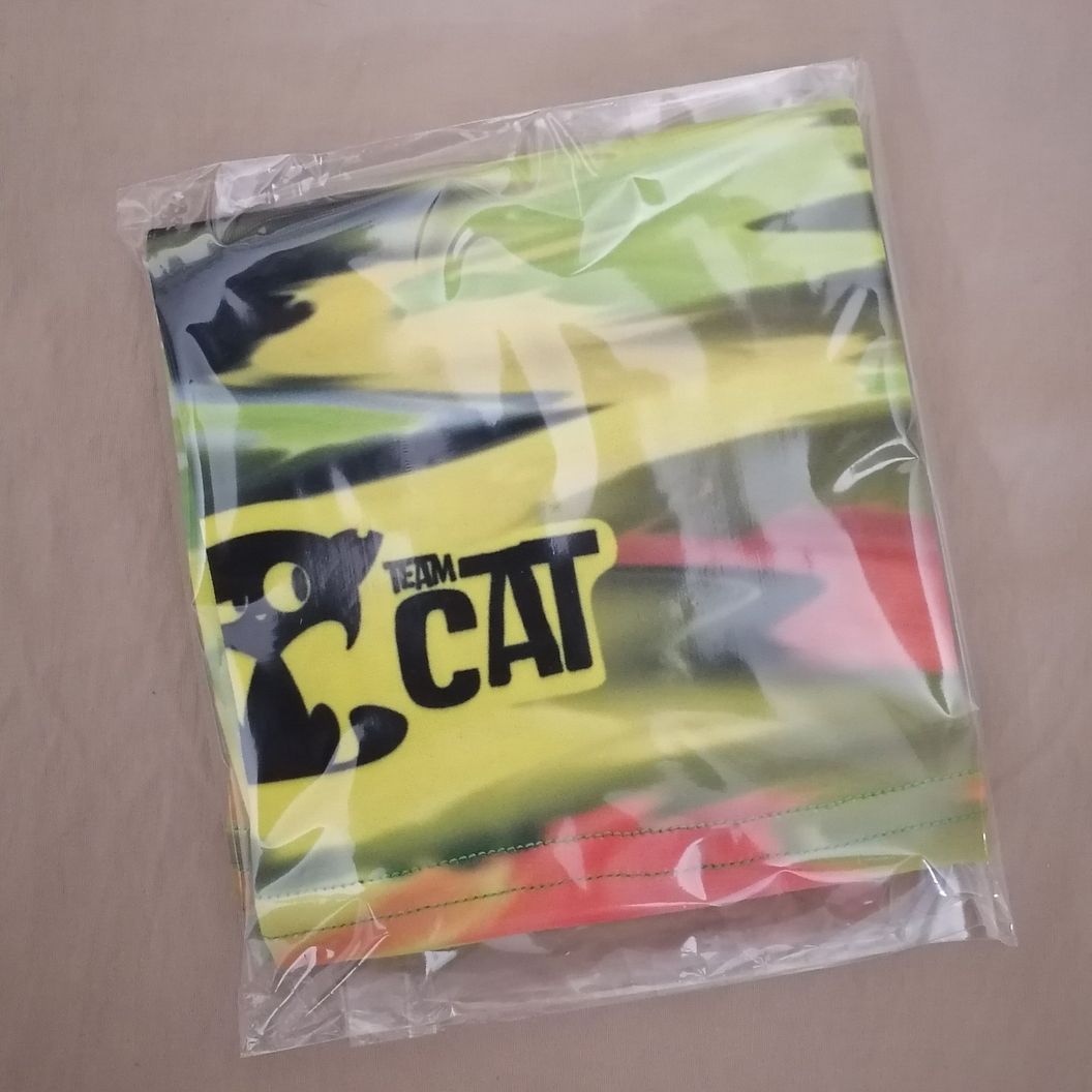 Футболка RCAT_Пакрафт принт на спине