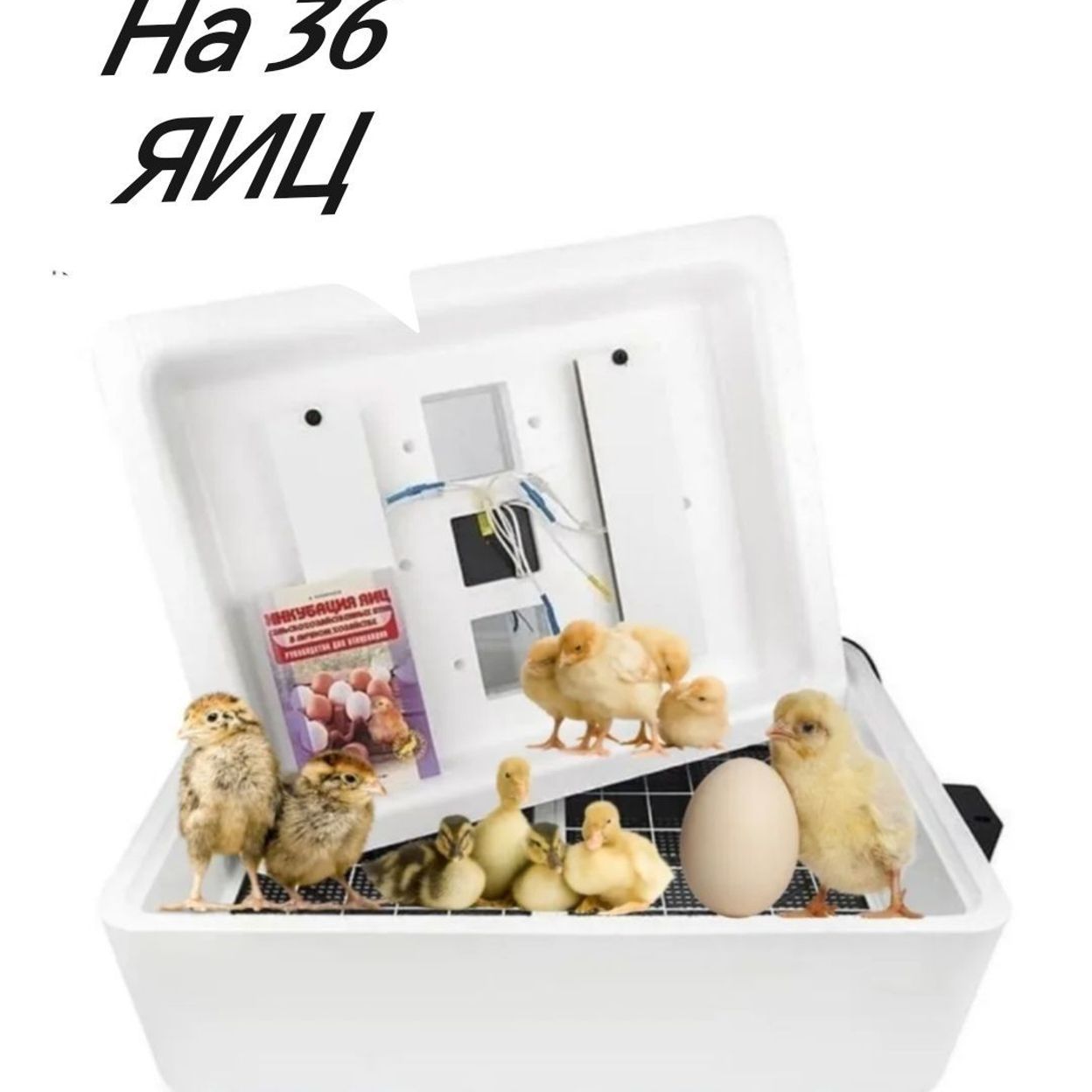 Купить Инкубатор 36 яиц авт. поворот (70)