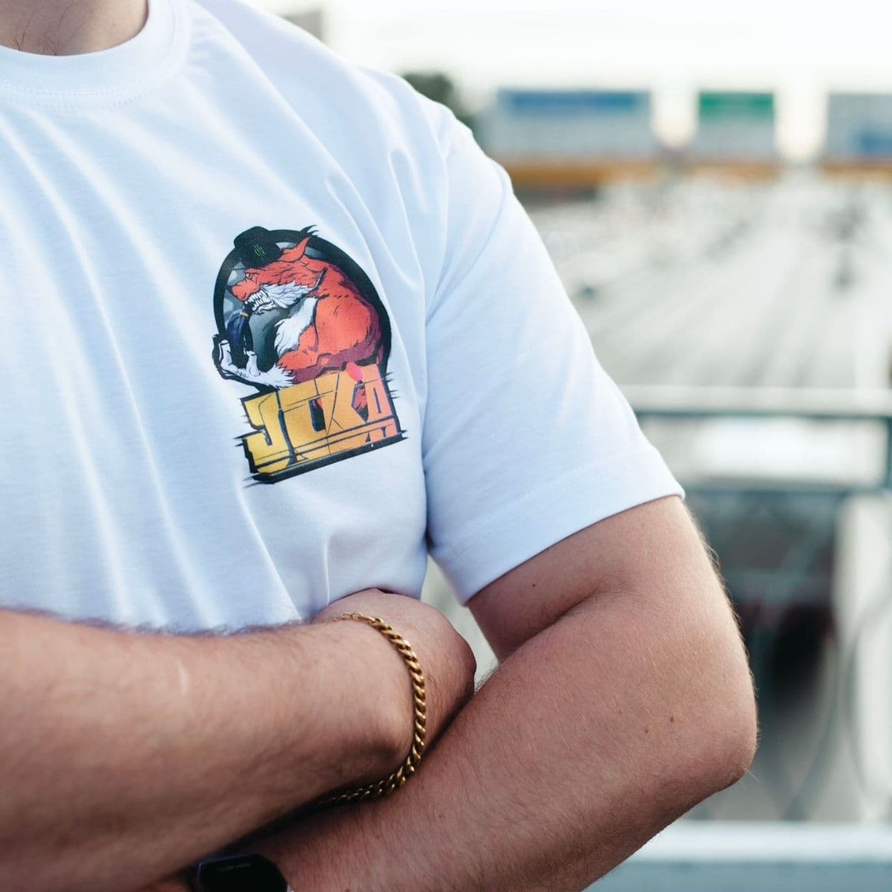 Купить Футболка «Е36»