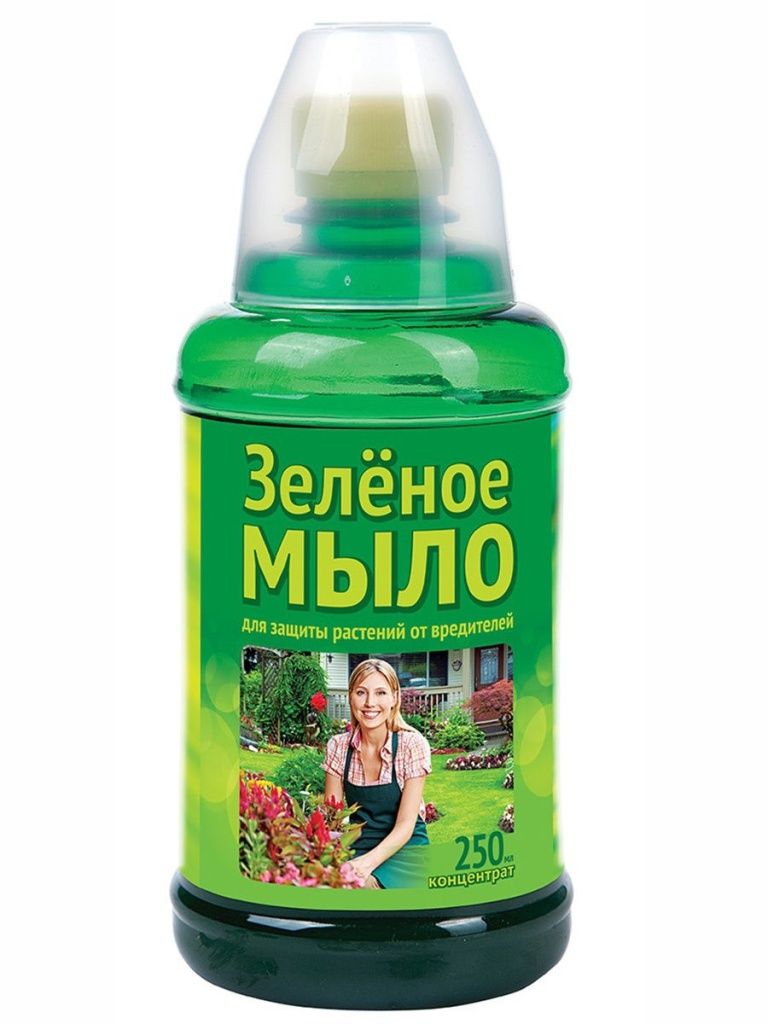Купить Зеленое мыло 250мл, BX
