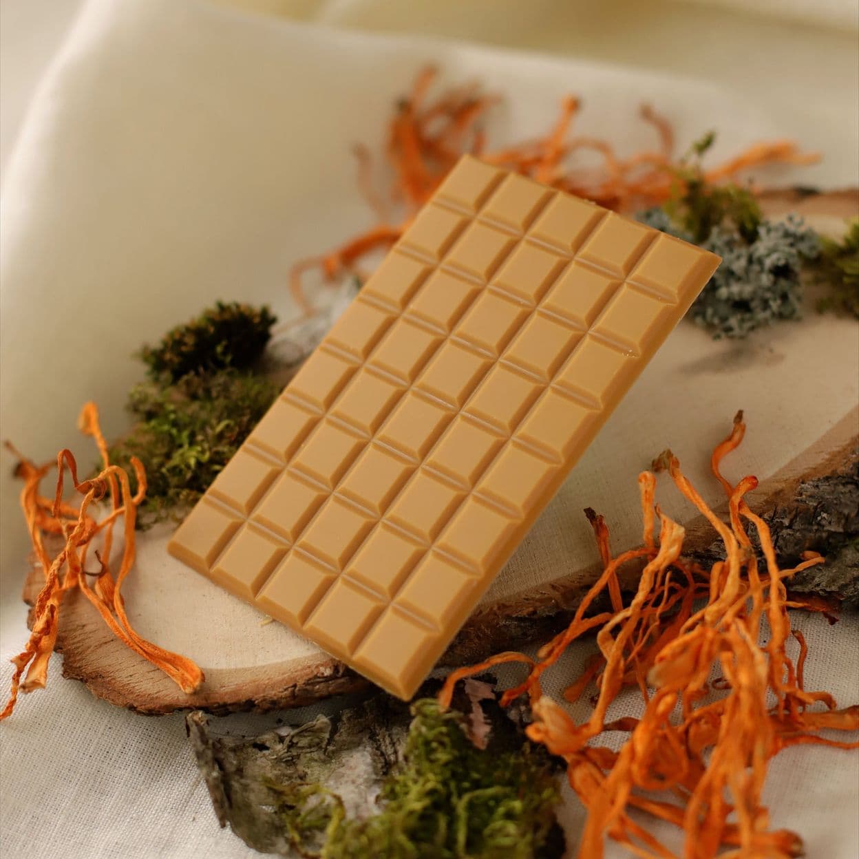 Купить Шоколад апельсиновый с кордицепсом