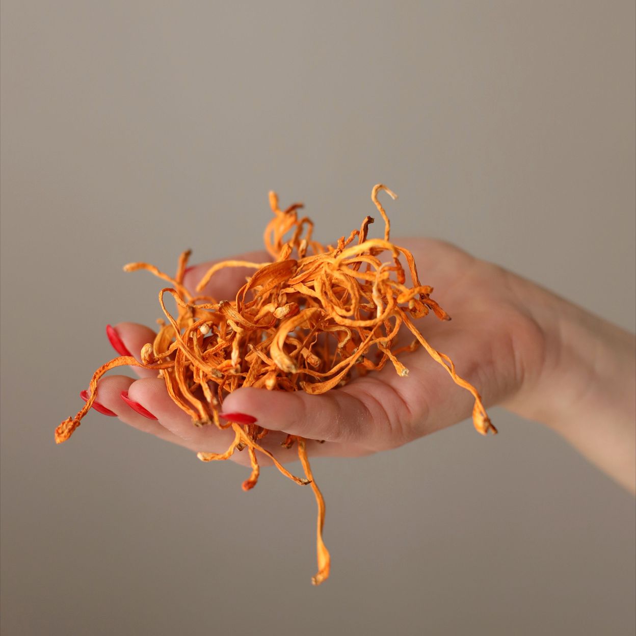 Купить Шоколад апельсиновый с кордицепсом