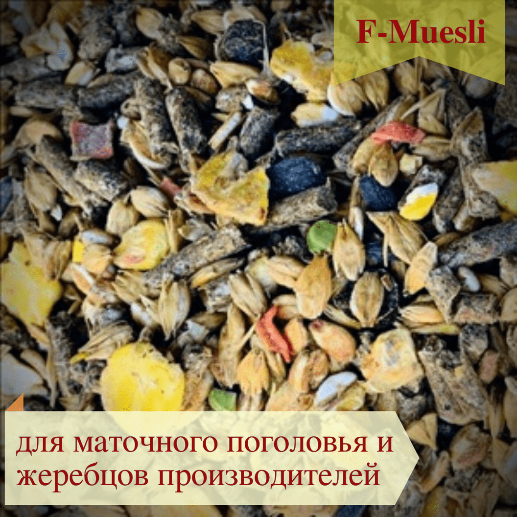 Купить Смесь кормовая GOLD LINE "F-muesli" для жеребцов и кобыл в случный период, мюсли