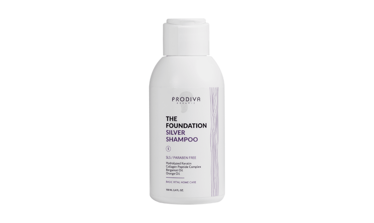 Купить Профессиональный базовый шампунь для блонда THE FOUNDATION SILVER SHAMPOO