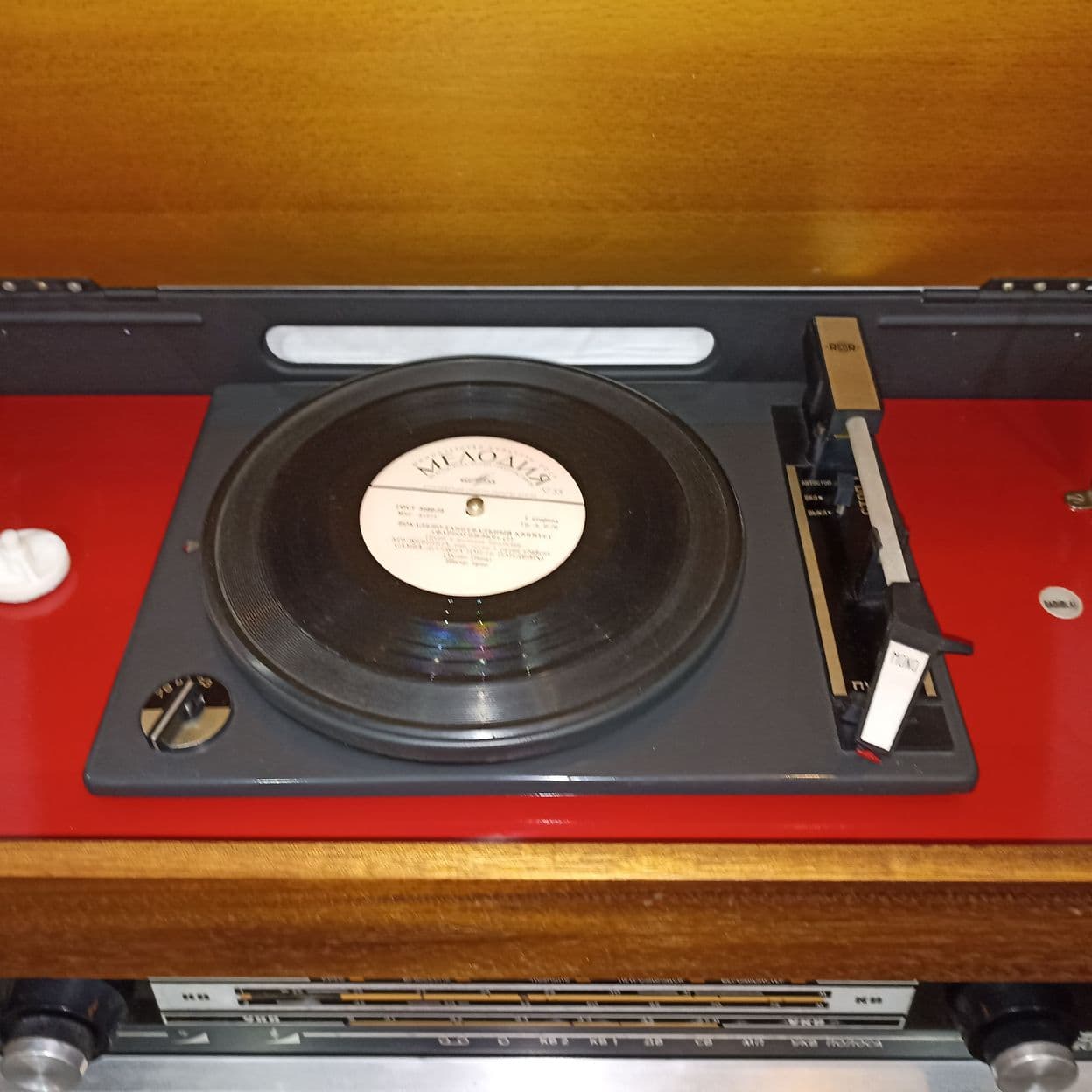 Купить Радиола RADIOLA! - Ригонда 102