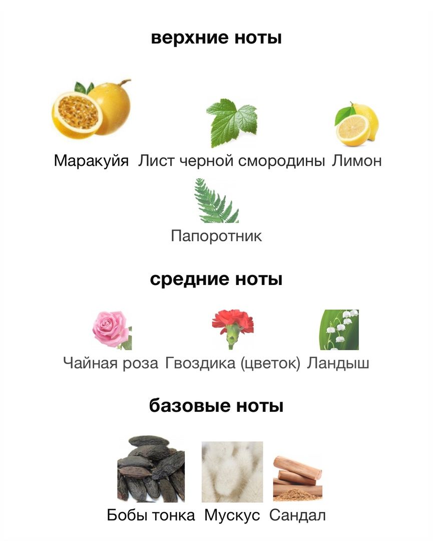 Купить Tiziana Terenzi Cassiopea