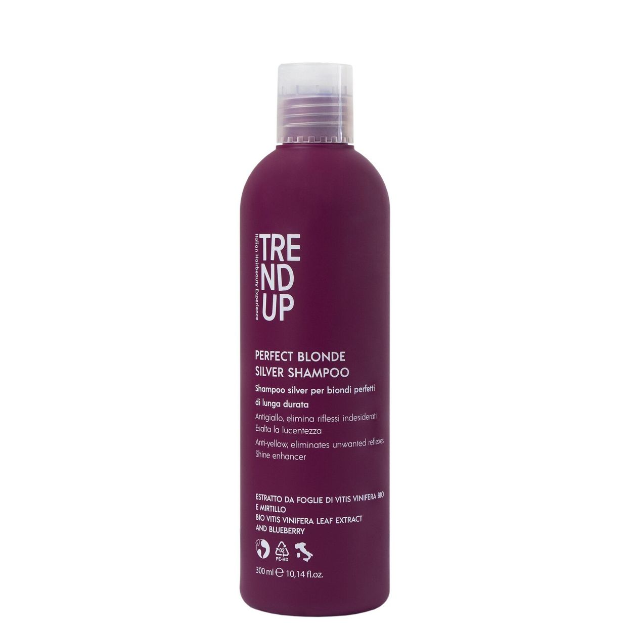 Купить Шампунь для светлых волос Trend Up Perfect Blonde Silver Shampoo, 300 мл