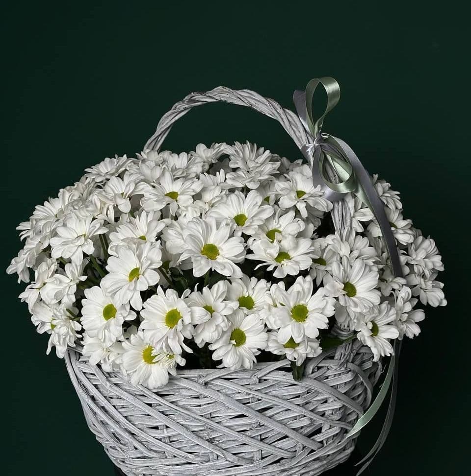 Купить Корзина "Чик"