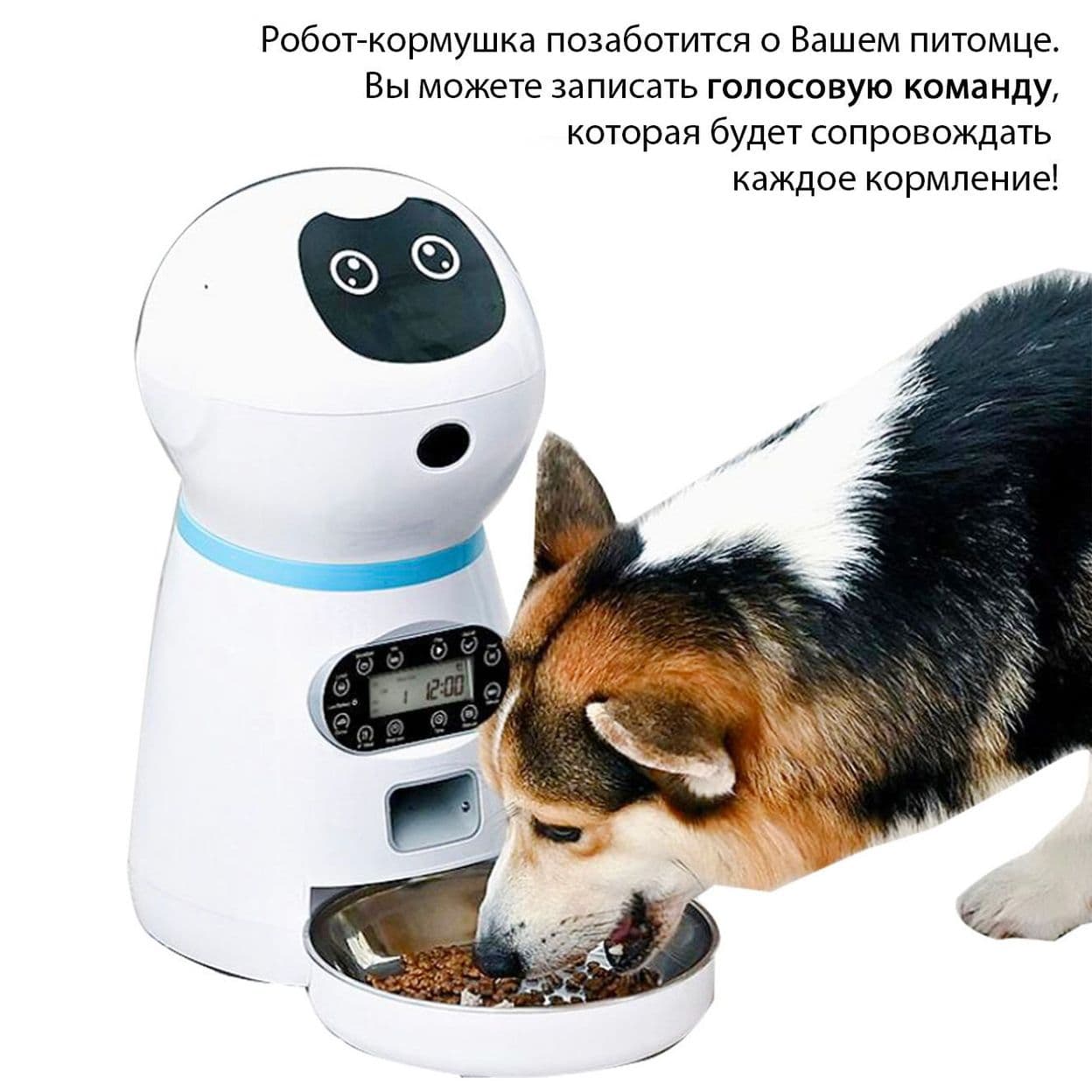 Купить Автокормушка без WiFi 3,5L "Робот" (арт.К01-ver2)
