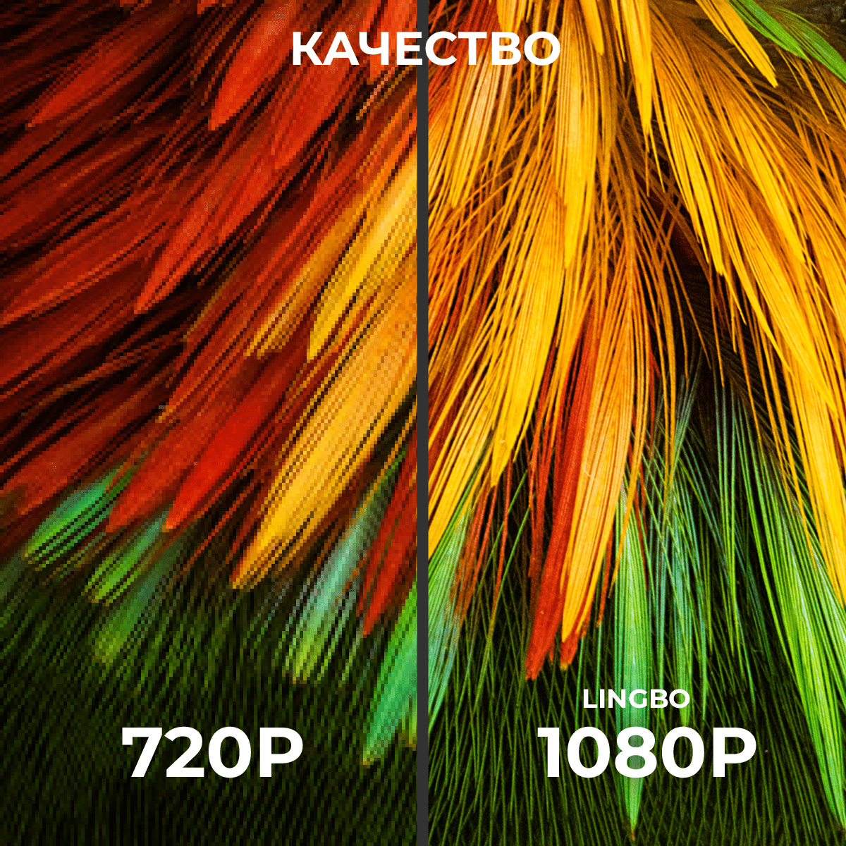 Купить Проектор Lingbo T10 Max