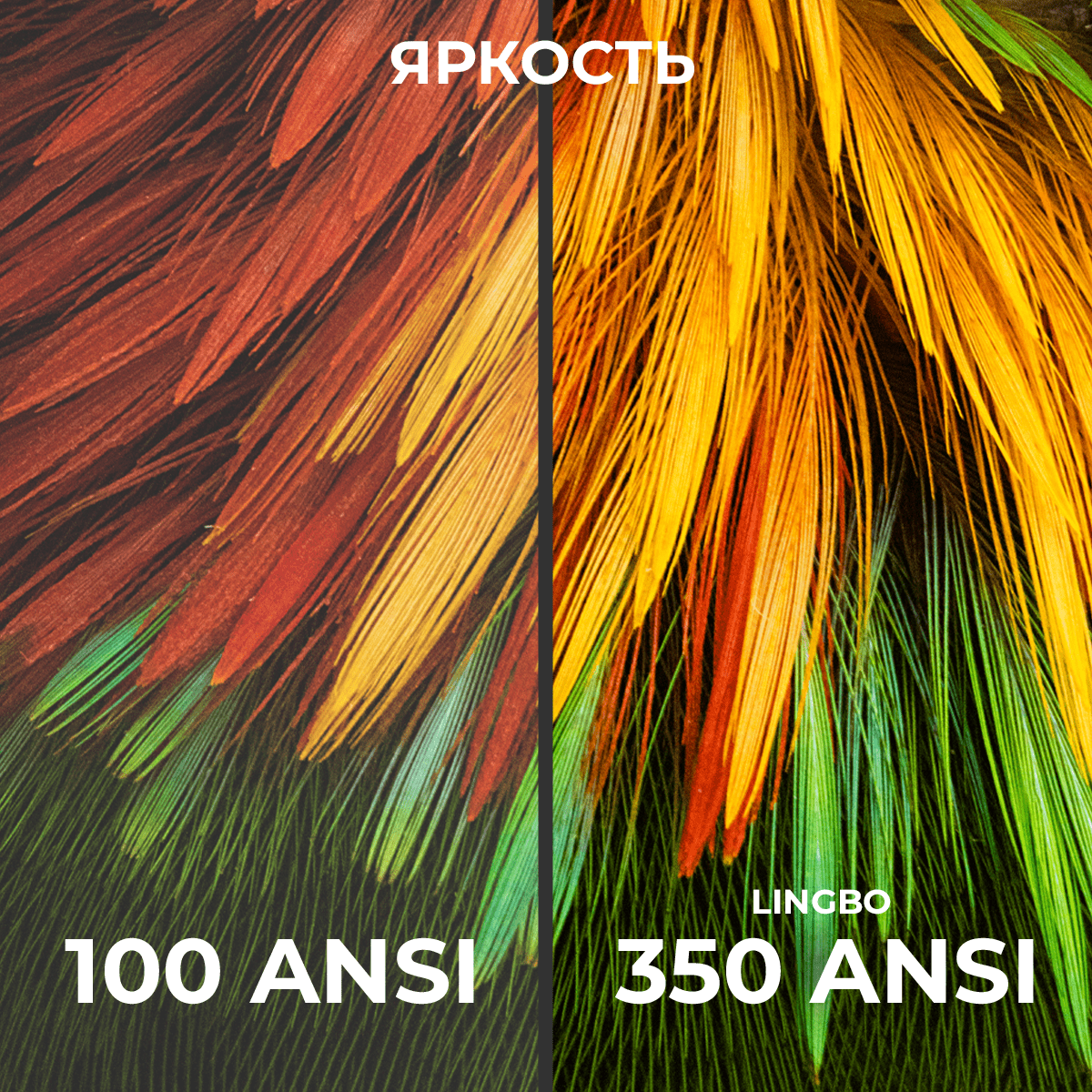 Купить Проектор Lingbo T10 Max
