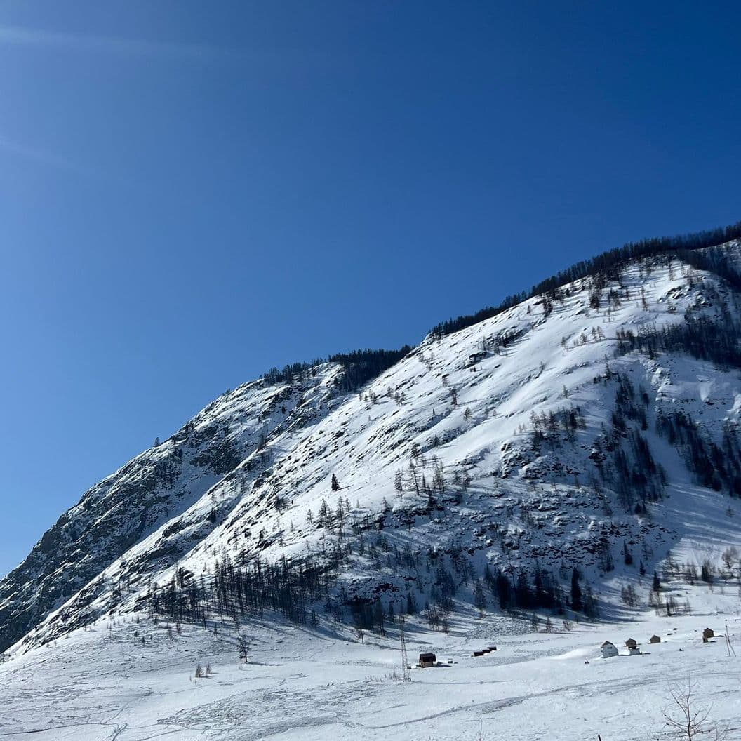 Купить Снежный уют Алтая