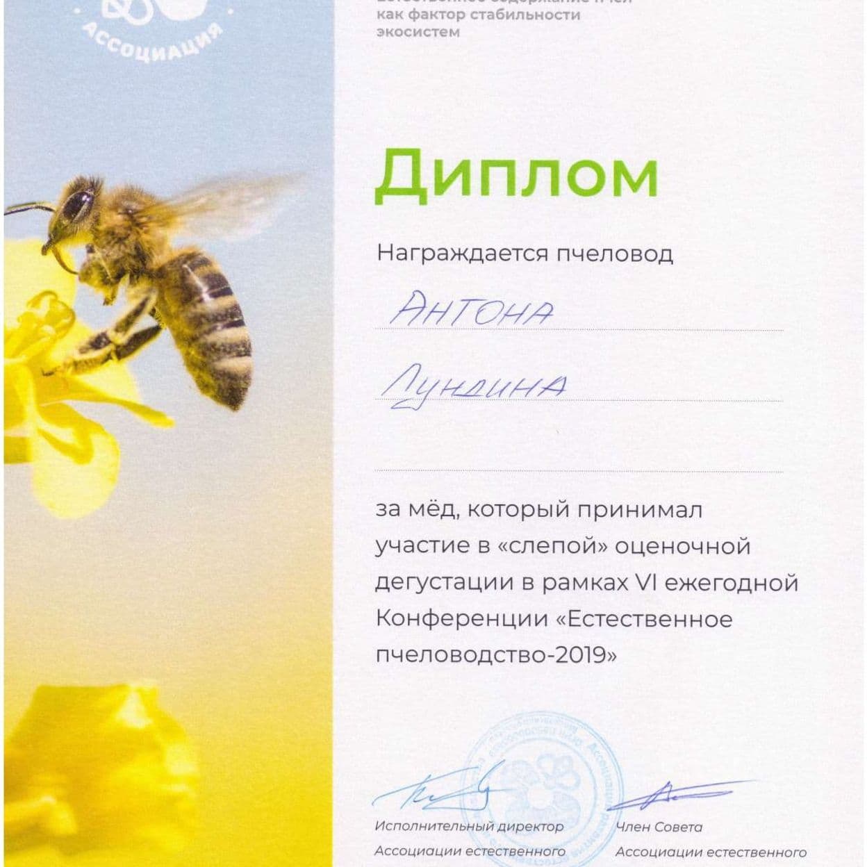 Купить Мёд разнотравье, 1 л
