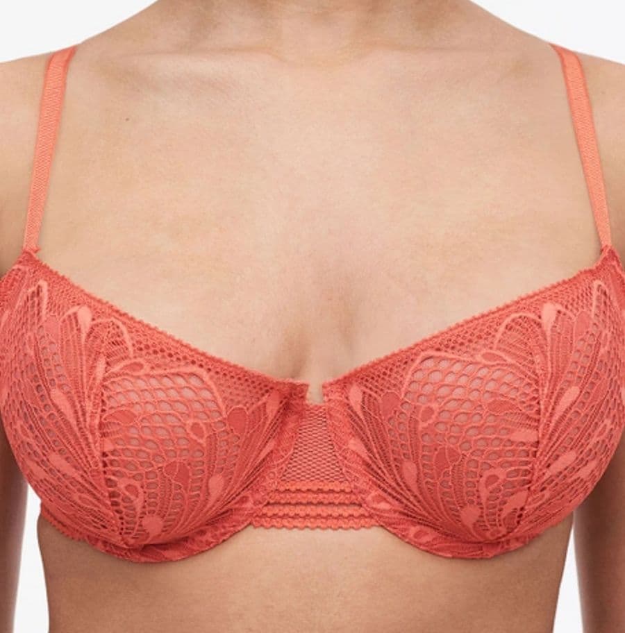 Купить Бюстгальтер Thelma